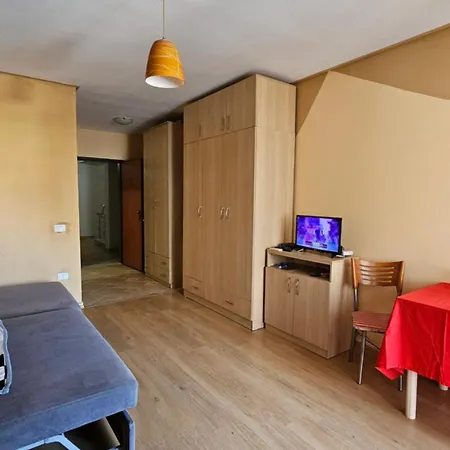 Studio Mali Robit Daire *
