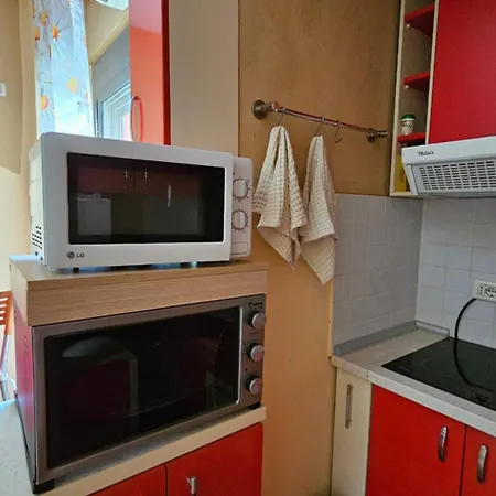 Apartment Studio Mali Robit Golem (Tirana)